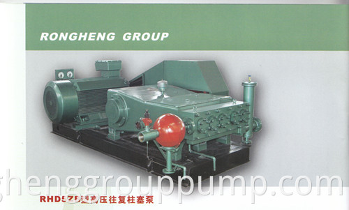 Reciprocating Plunger Pump